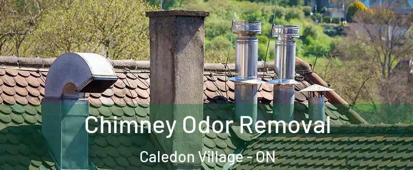  Chimney Odor Removal Caledon Village - ON
