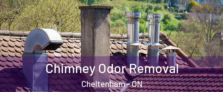  Chimney Odor Removal Cheltenham - ON