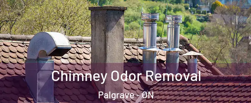 Chimney Odor Removal Palgrave - ON
