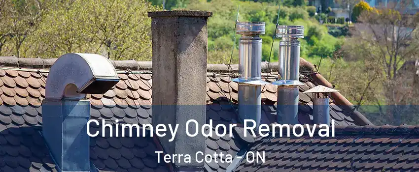  Chimney Odor Removal Terra Cotta - ON