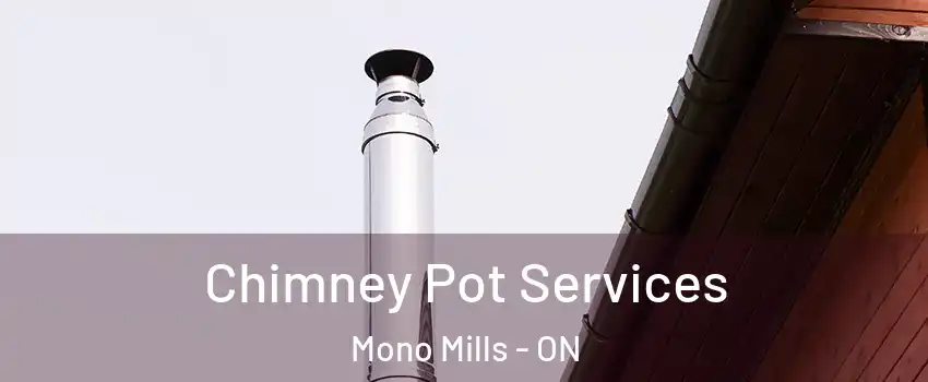 Chimney Pot Services Mono Mills - ON