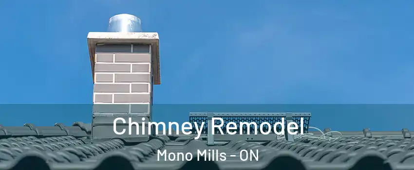  Chimney Remodel Mono Mills - ON