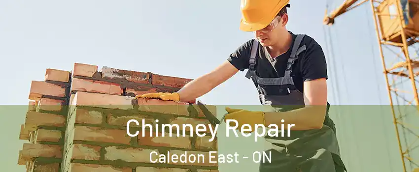  Chimney Repair Caledon East - ON