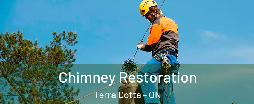  Chimney Restoration Terra Cotta - ON