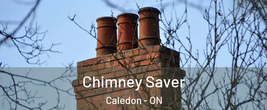  Chimney Saver Caledon - ON
