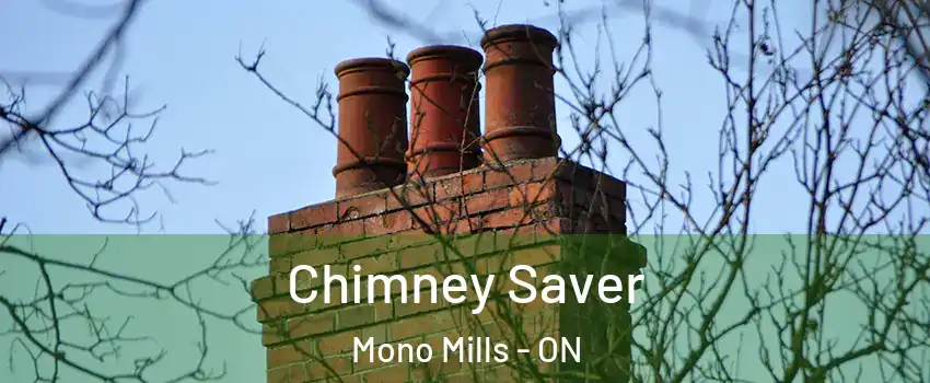 Chimney Saver Mono Mills - ON