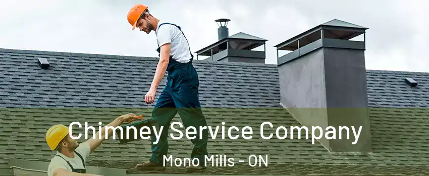  Chimney Service Company Mono Mills - ON