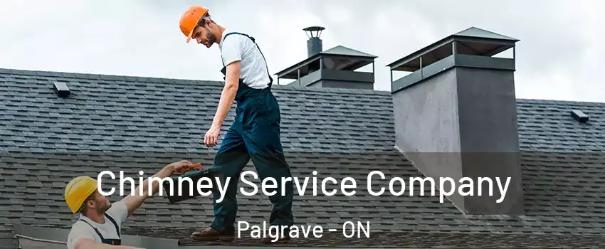  Chimney Service Company Palgrave - ON