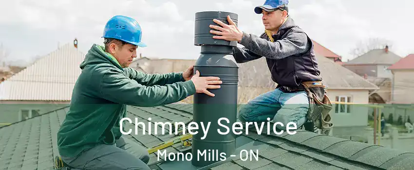  Chimney Service Mono Mills - ON