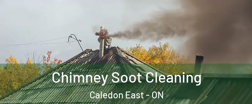  Chimney Soot Cleaning Caledon East - ON
