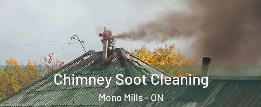  Chimney Soot Cleaning Mono Mills - ON