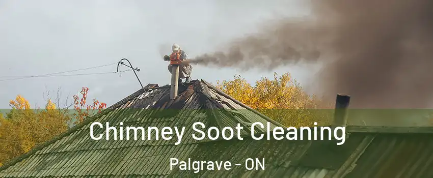  Chimney Soot Cleaning Palgrave - ON