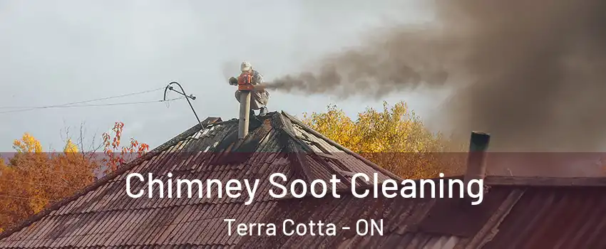  Chimney Soot Cleaning Terra Cotta - ON