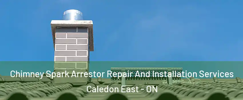Chimney Spark Arrestor Repair And Installation Services Caledon East - ON