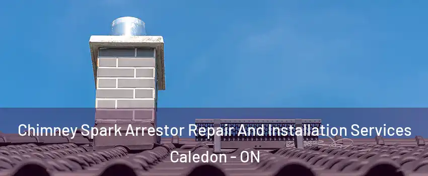  Chimney Spark Arrestor Repair And Installation Services Caledon - ON
