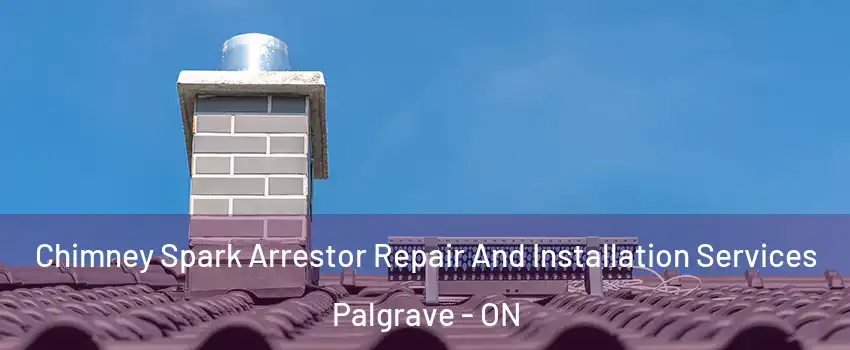  Chimney Spark Arrestor Repair And Installation Services Palgrave - ON