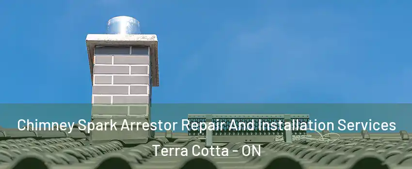  Chimney Spark Arrestor Repair And Installation Services Terra Cotta - ON