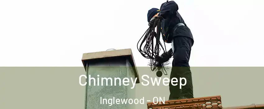  Chimney Sweep Inglewood - ON