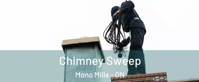 Chimney Sweep Mono Mills - ON