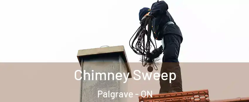 Chimney Sweep Palgrave - ON