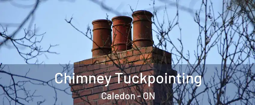  Chimney Tuckpointing Caledon - ON