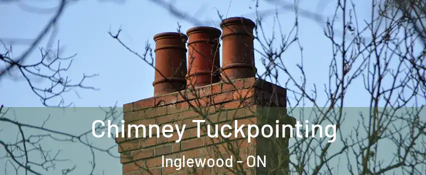  Chimney Tuckpointing Inglewood - ON