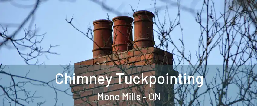 Chimney Tuckpointing Mono Mills - ON