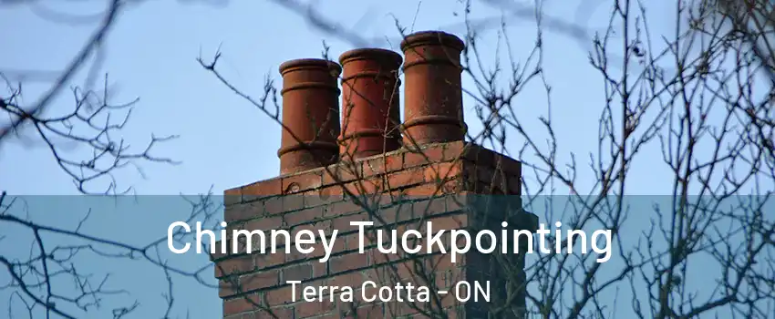 Chimney Tuckpointing Terra Cotta - ON