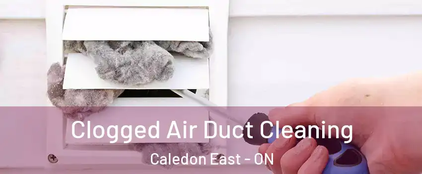  Clogged Air Duct Cleaning Caledon East - ON