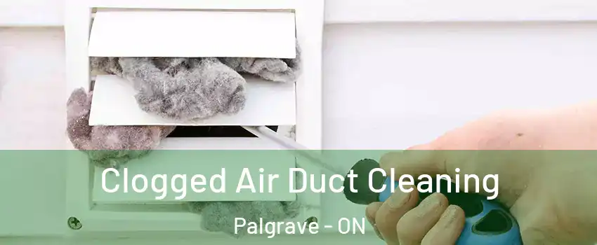  Clogged Air Duct Cleaning Palgrave - ON