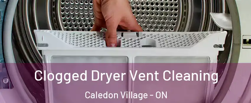  Clogged Dryer Vent Cleaning Caledon Village - ON