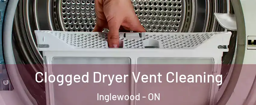  Clogged Dryer Vent Cleaning Inglewood - ON