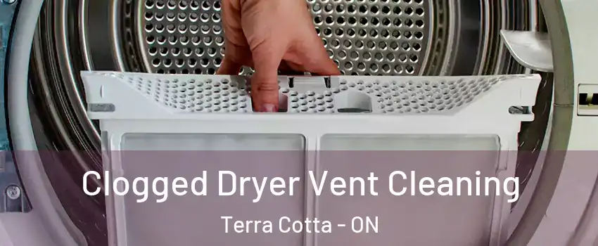  Clogged Dryer Vent Cleaning Terra Cotta - ON