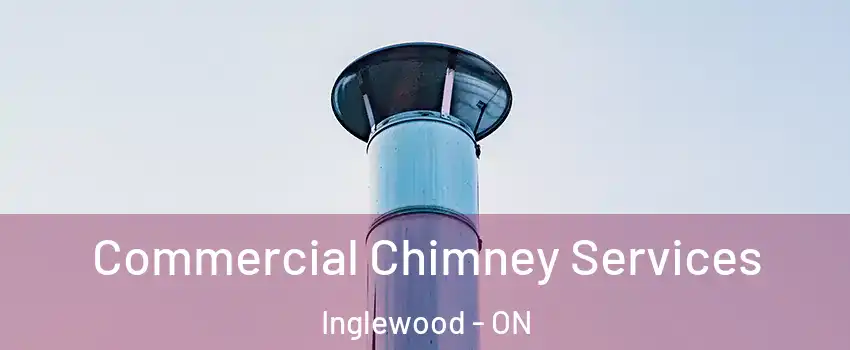  Commercial Chimney Services Inglewood - ON