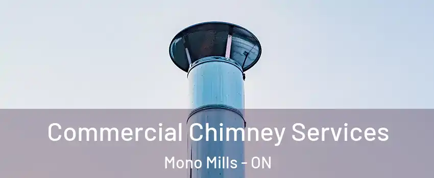  Commercial Chimney Services Mono Mills - ON