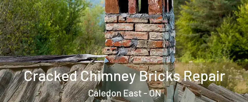 Cracked Chimney Bricks Repair Caledon East - ON