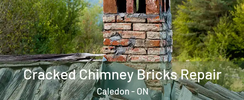  Cracked Chimney Bricks Repair Caledon - ON
