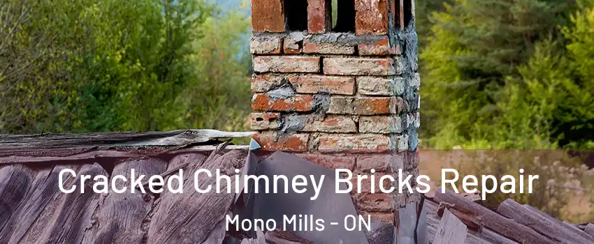 Cracked Chimney Bricks Repair Mono Mills - ON