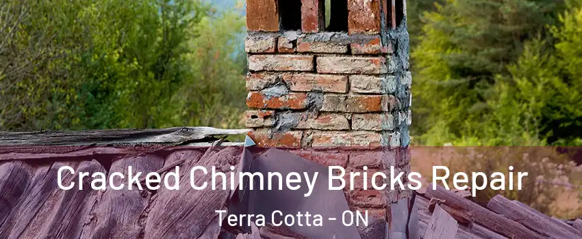  Cracked Chimney Bricks Repair Terra Cotta - ON