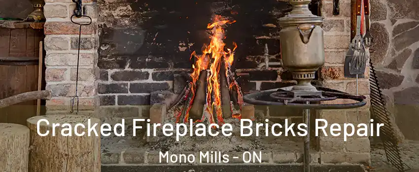  Cracked Fireplace Bricks Repair Mono Mills - ON