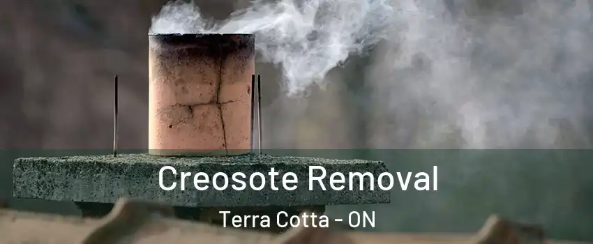 Creosote Removal Terra Cotta - ON