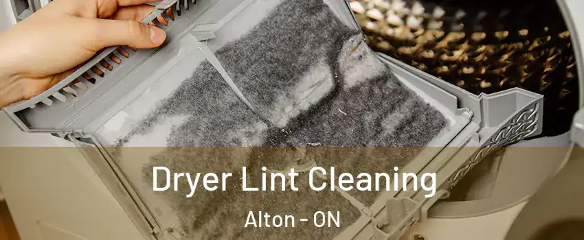  Dryer Lint Cleaning Alton - ON