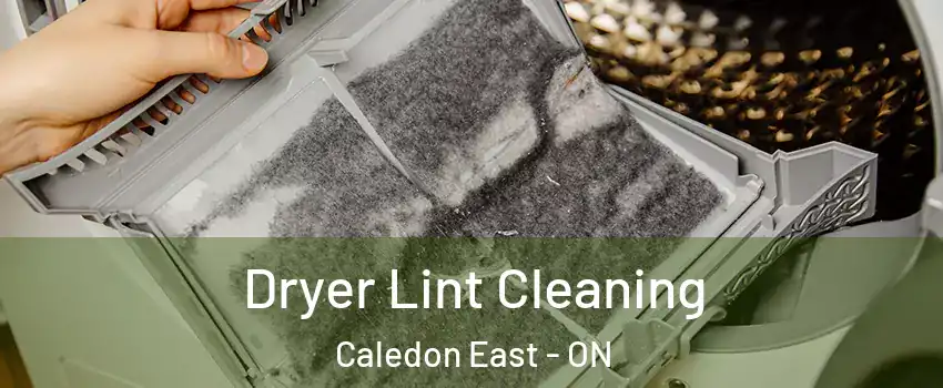  Dryer Lint Cleaning Caledon East - ON
