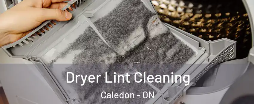  Dryer Lint Cleaning Caledon - ON