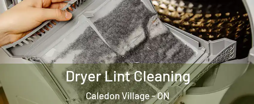  Dryer Lint Cleaning Caledon Village - ON
