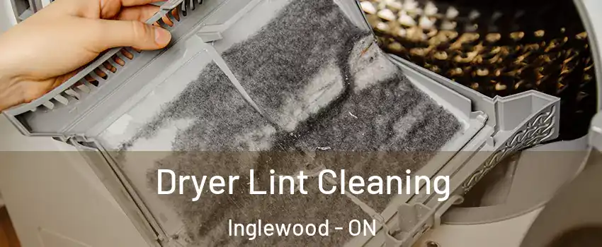  Dryer Lint Cleaning Inglewood - ON