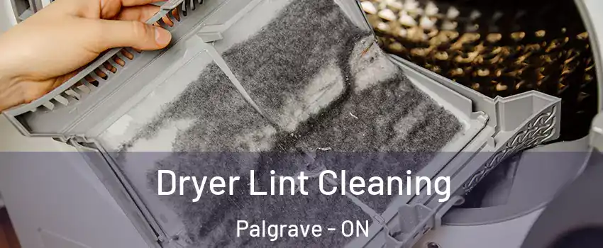 Dryer Lint Cleaning Palgrave - ON