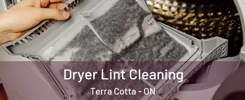  Dryer Lint Cleaning Terra Cotta - ON