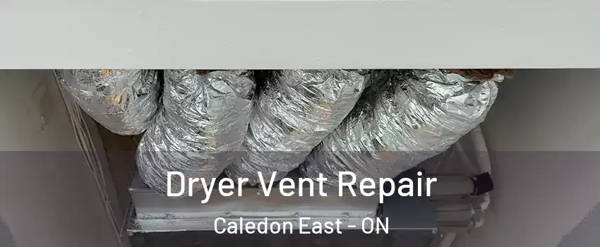 Dryer Vent Repair Caledon East - ON