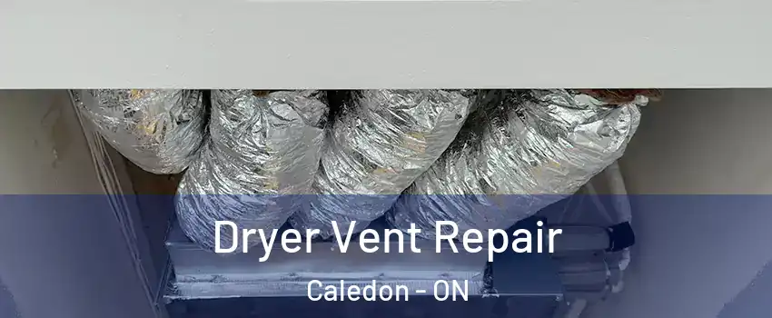  Dryer Vent Repair Caledon - ON